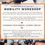 Mobility Workshop