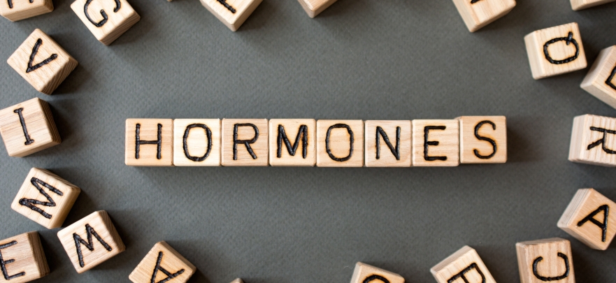Hormones ….. A Balancing Act!