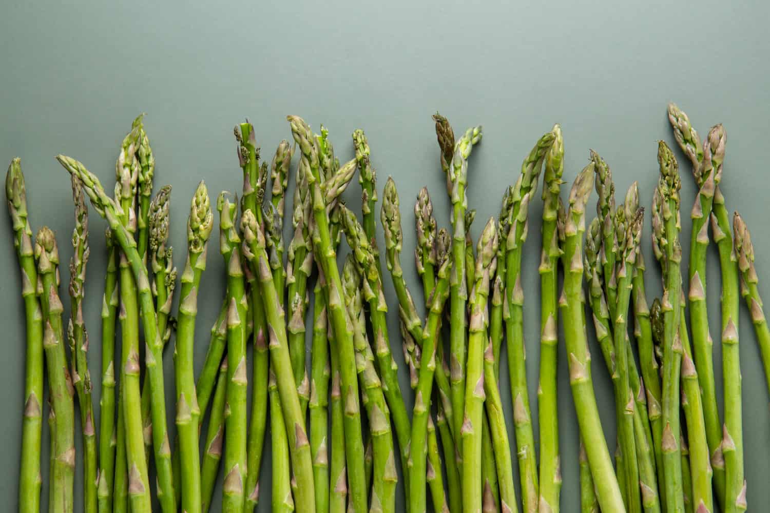 closeup image of asparagus stalks